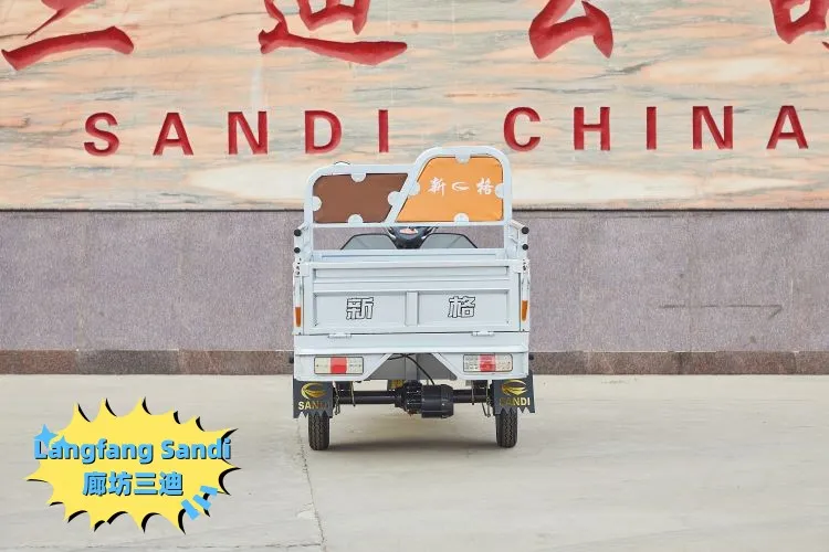 Well Sell Electric Truck Cargo Tricycle with Three Wheel Cargo Motorcycles - detail 5