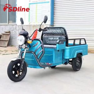 Sdlanch China Supplier LHD 1100W Open Type Electric Vehicle Three Wheel Motorcycle Cargo Tricycle