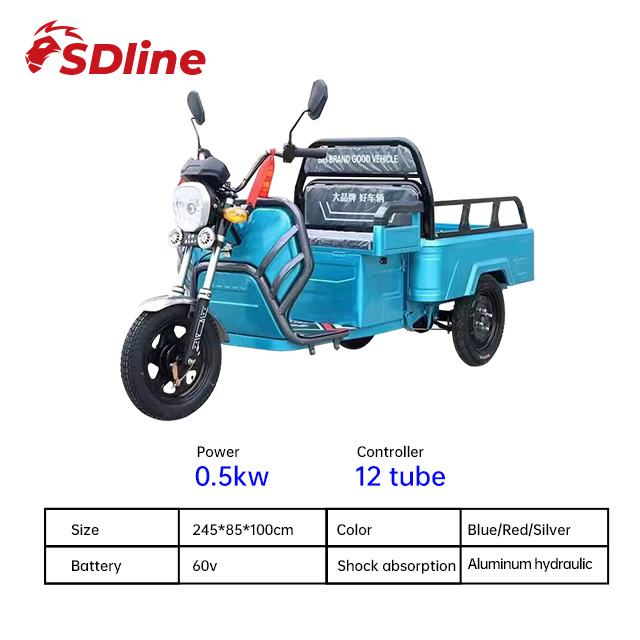 Sdlanch China Supplier LHD 1100W Open Type Electric Vehicle Three Wheel Motorcycle Cargo Tricycle - Image 3