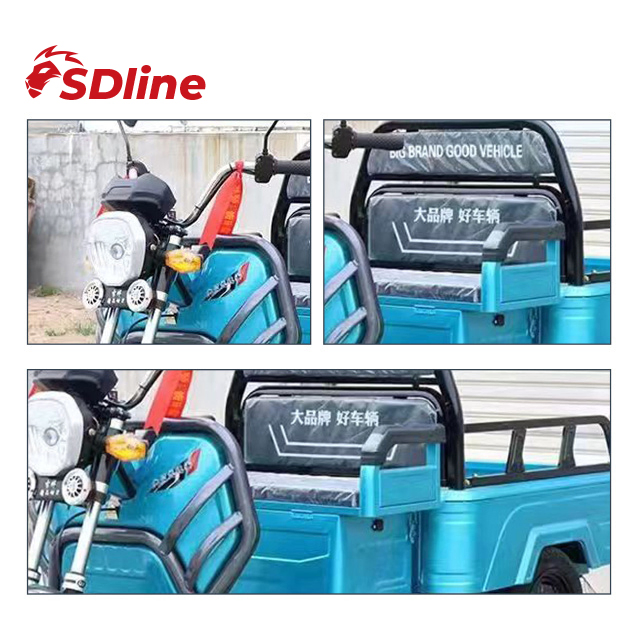 Sdlanch China Supplier LHD 1100W Open Type Electric Vehicle Three Wheel Motorcycle Cargo Tricycle - Image 4