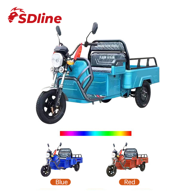 Sdlanch China Supplier LHD 1100W Open Type Electric Vehicle Three Wheel Motorcycle Cargo Tricycle - Image 5