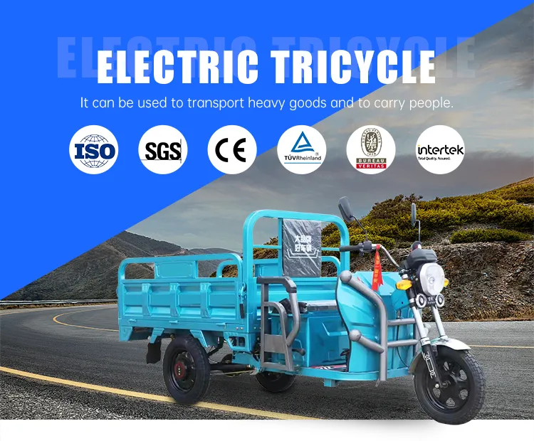 Sdlanch China Supplier LHD 1100W Open Type Electric Vehicle Three Wheel Motorcycle Cargo Tricycle - detail 3