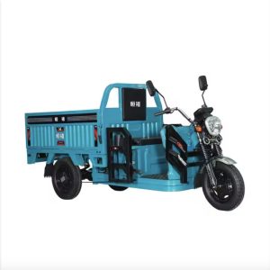 Competitive Price Wholesale 1500W Powerful Motorcycle with Permanent Magnet Synchronous 500kg Payload Electric Cargo Tricycle