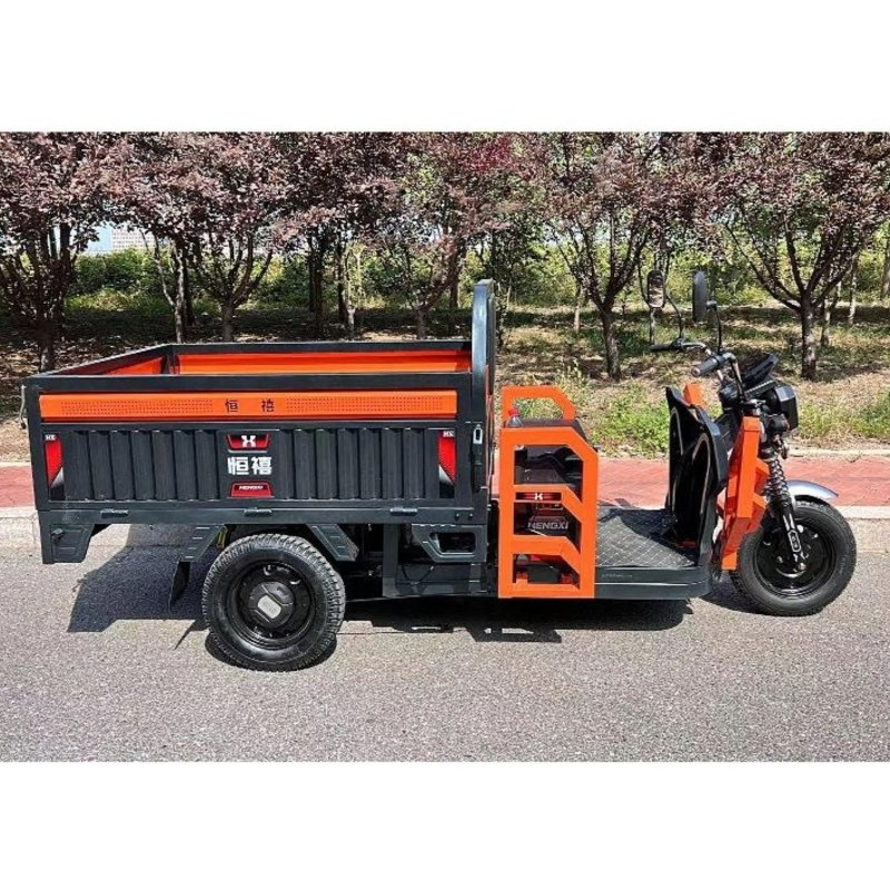 Competitive Price Wholesale 1500W Powerful Motorcycle with Permanent Magnet Synchronous 500kg Payload Electric Cargo Tricycle - Image 5