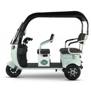 Competitive Price Wholesale 1500W Powerful Motorcycle with Permanent Magnet Synchronous 500kg Payload Electric Cargo Tricycle - detail 16