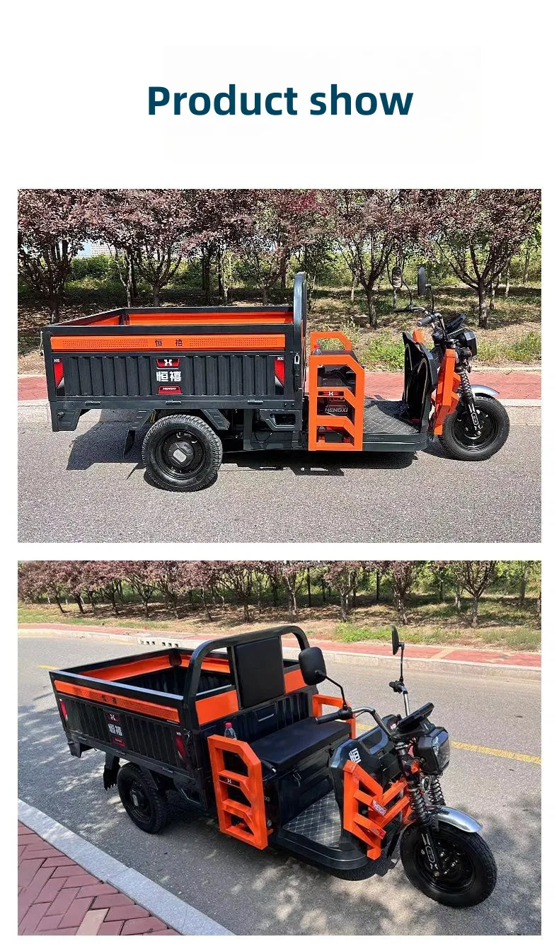 Competitive Price Wholesale 1500W Powerful Motorcycle with Permanent Magnet Synchronous 500kg Payload Electric Cargo Tricycle - detail 9