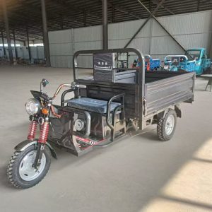 Factory Supply Electric Bike Tricycle 1500W 60V 72V CKD SKD Electric Cargo Tricycle for Sale