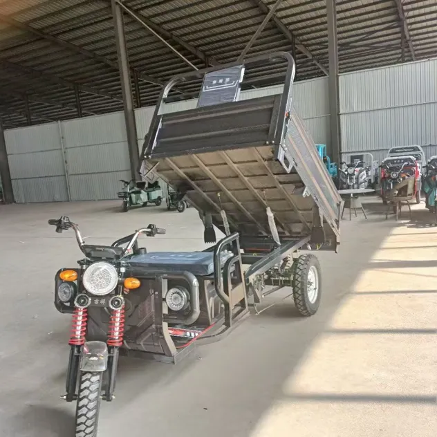 Factory Supply Electric Bike Tricycle 1500W 60V 72V CKD SKD Electric Cargo Tricycle for Sale - detail 6