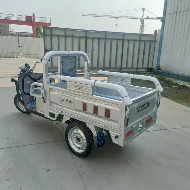 Factory Supply Electric Bike Tricycle 1500W 60V 72V CKD SKD Electric Cargo Tricycle for Sale - detail 7