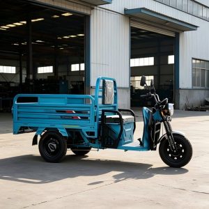 Practical 3-Wheel Electric Transport Tricycle with Reinforced Steel Cargo Carrier Box