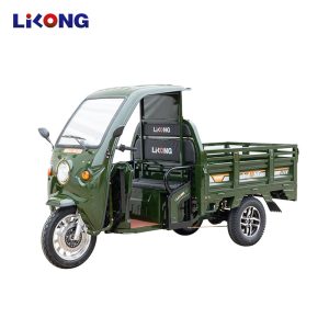 Adult EEC Standard Support Customization Electric Cabin Cargo Tricycle for Farm Use