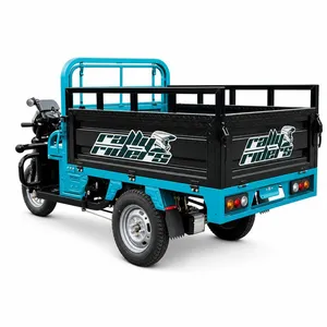Electric Cargo Tricycle with 1.5m Cargo Box for Rural Supply Transport - detail 20