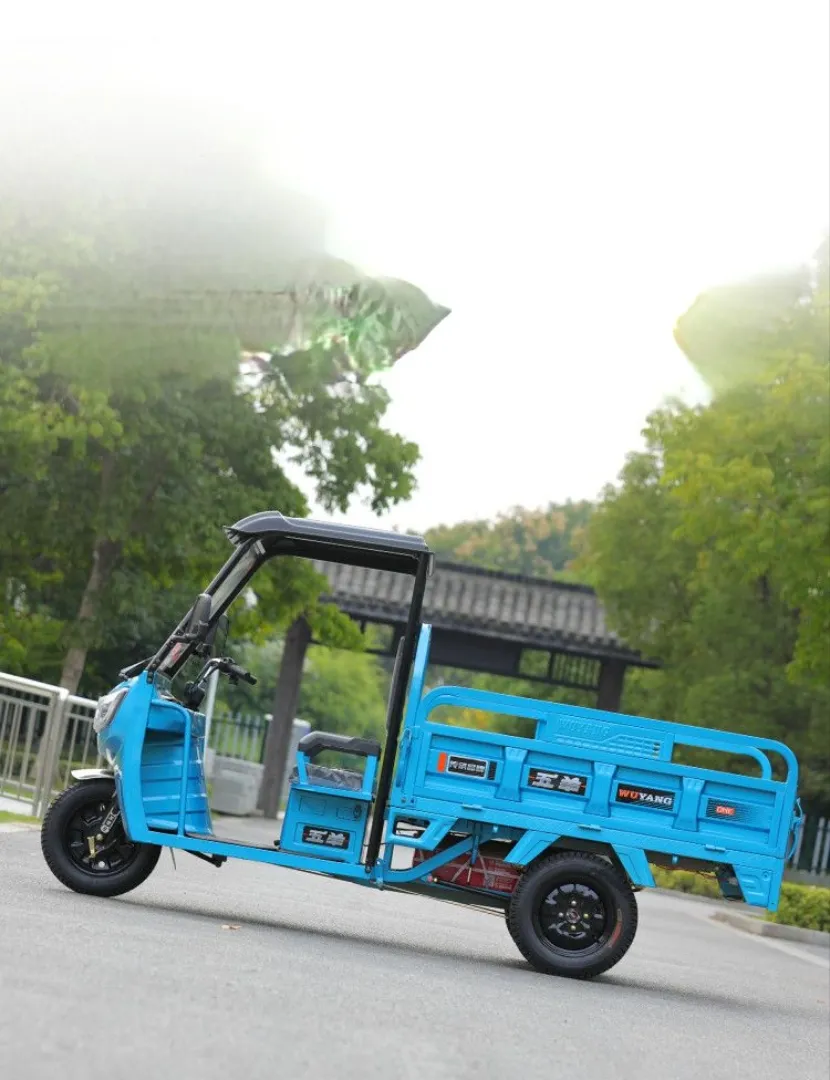 Keyu Best Value 1.6m Electric Cargo Tricycle Open Cabin for Freightage - detail 2