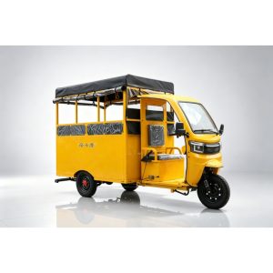 Hot Selling 32km/H Max Speed Electric Cargo Tricycle Electric Tricycle with Handlebar