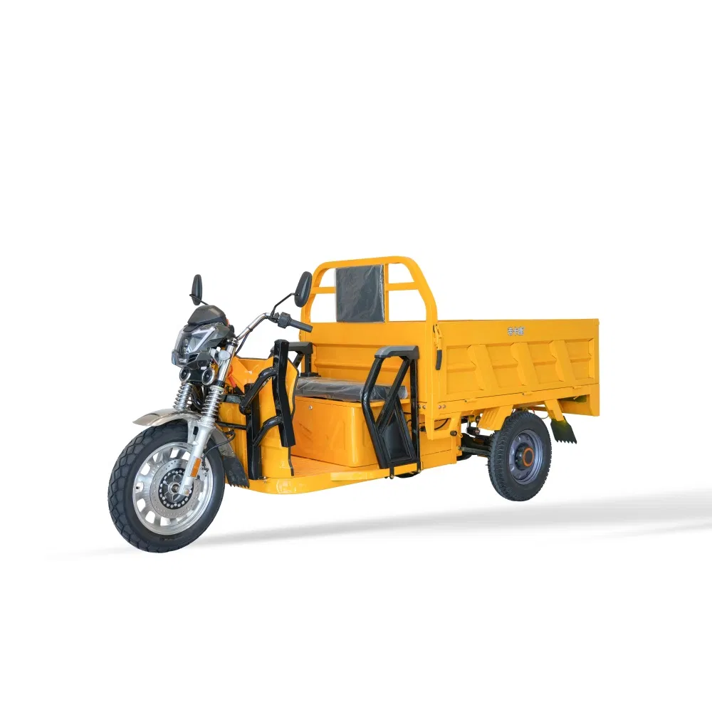 Hot Selling 32km/H Max Speed Electric Cargo Tricycle Electric Tricycle with Handlebar - detail 1