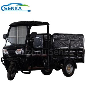 Electric Tricycle with Solar Panel Cargo Transport High Payload 1000kg 100km Range