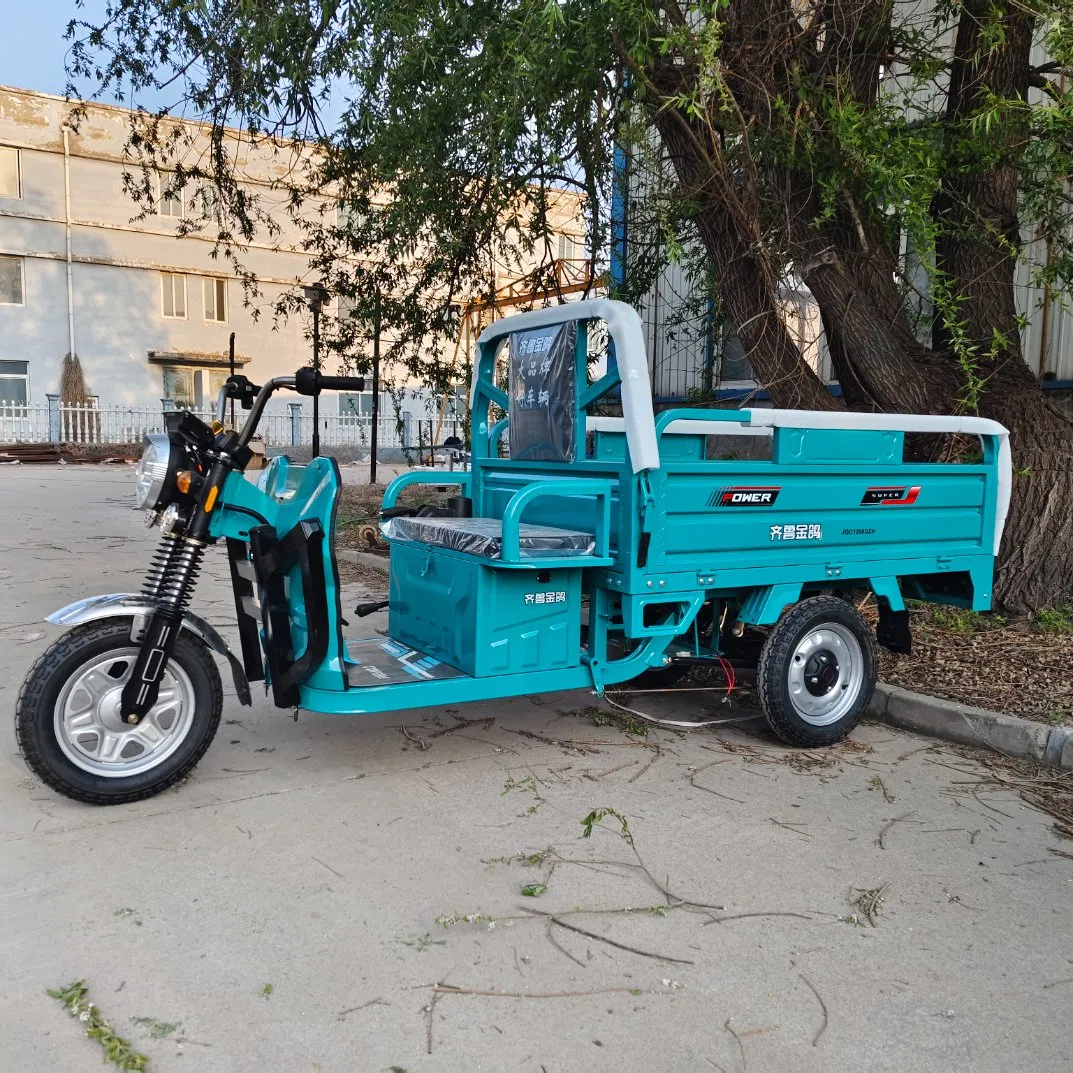 CCC Certified Heavy Duty Electric Cargo Tricycle for Farm Delivery - Image 4