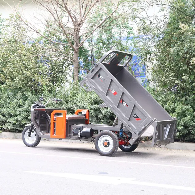 CCC Certified Heavy Duty Electric Cargo Tricycle for Farm Delivery - detail 2