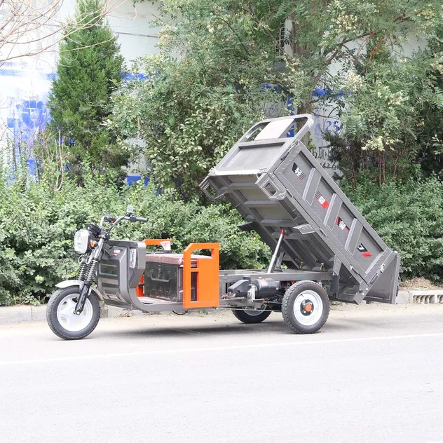 CCC Certified Heavy Duty Electric Cargo Tricycle for Farm Delivery - detail 3