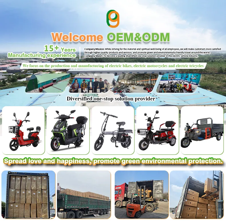 Affordable Adult Electric Cargo Tricycle for Safe Transport - detail 14