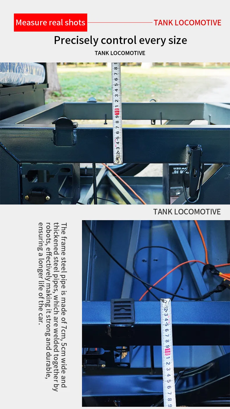 Affordable Adult Electric Cargo Tricycle for Safe Transport - detail 9