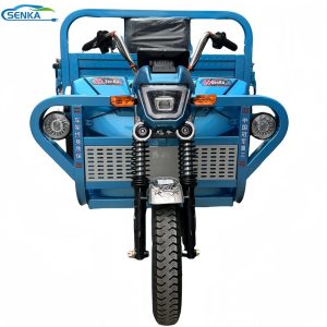 Passenger and Cargo Adult Electric Tricycle Cab Enclosed Closed Cab Driving Cargo
