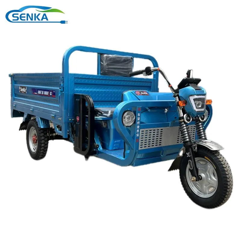 Passenger and Cargo Adult Electric Tricycle Cab Enclosed Closed Cab Driving Cargo - detail 1