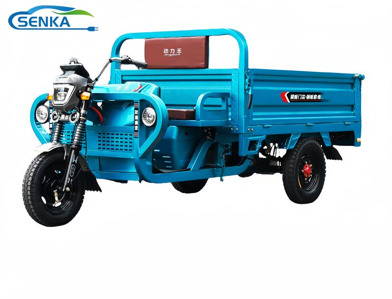 China Supplying Electric Tricycle 2023 Approval New Energy Resources Electric Loader High Quality for Cargo - Image 6