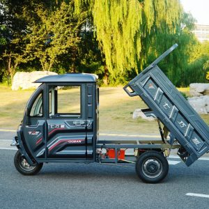Electric Tricycle Transport Cargo with Automatic Unloading Hydraulic