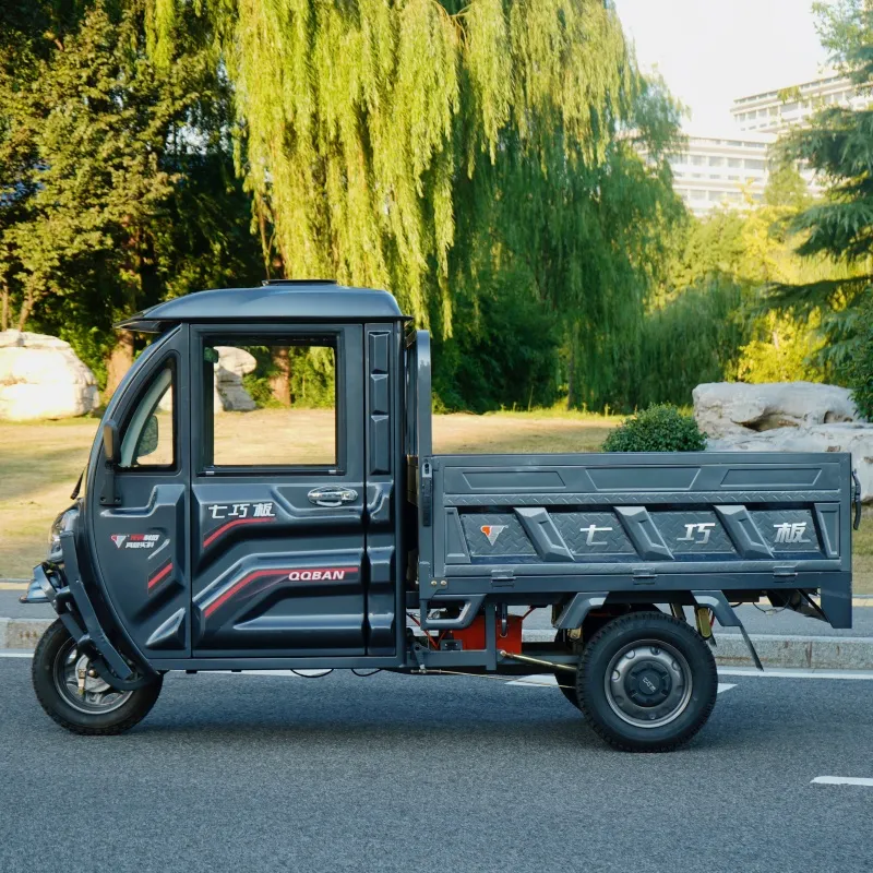 Electric Tricycle Transport Cargo with Automatic Unloading Hydraulic - detail 2