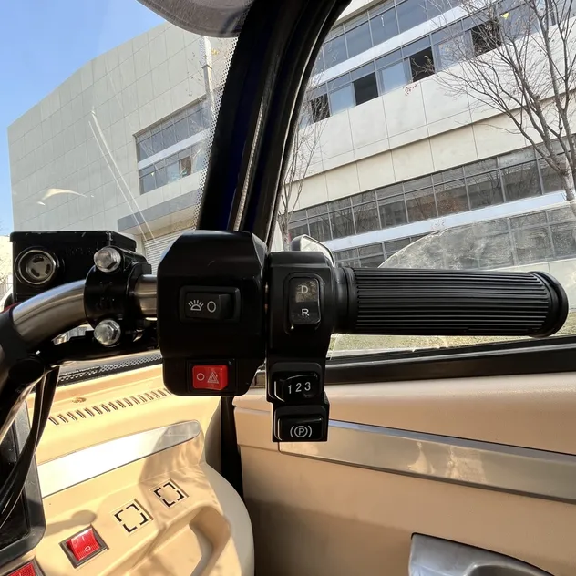 Excellent Shock Absorption Semi-Closed 3-Wheel Electric Cargo Tricycle for Urban Delivery - detail 12