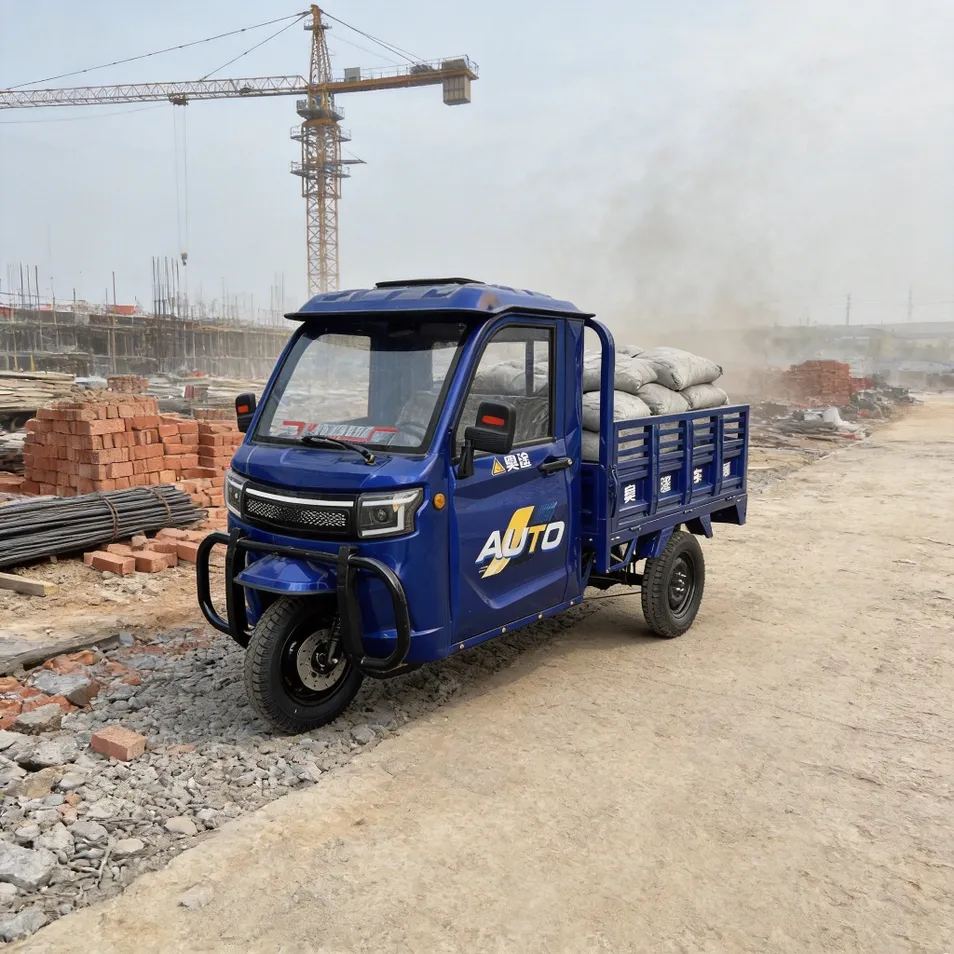 Excellent Shock Absorption Semi-Closed 3-Wheel Electric Cargo Tricycle for Urban Delivery - detail 3