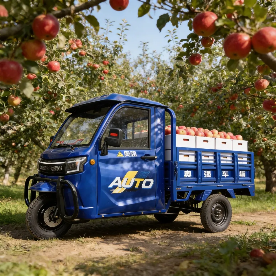 Excellent Shock Absorption Semi-Closed 3-Wheel Electric Cargo Tricycle for Urban Delivery - detail 4