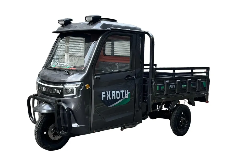 Excellent Shock Absorption Semi-Closed 3-Wheel Electric Cargo Tricycle for Urban Delivery - detail 5