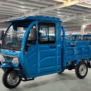 New 2023 EEC Type Cargo Tricycle 60V1000W Closed Body Electric Cargo Tricycle