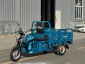 New 2023 EEC Type Cargo Tricycle 60V1000W Closed Body Electric Cargo Tricycle - detail 18
