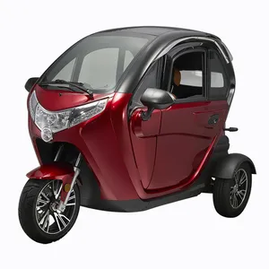 New 2023 EEC Type Cargo Tricycle 60V1000W Closed Body Electric Cargo Tricycle - detail 19