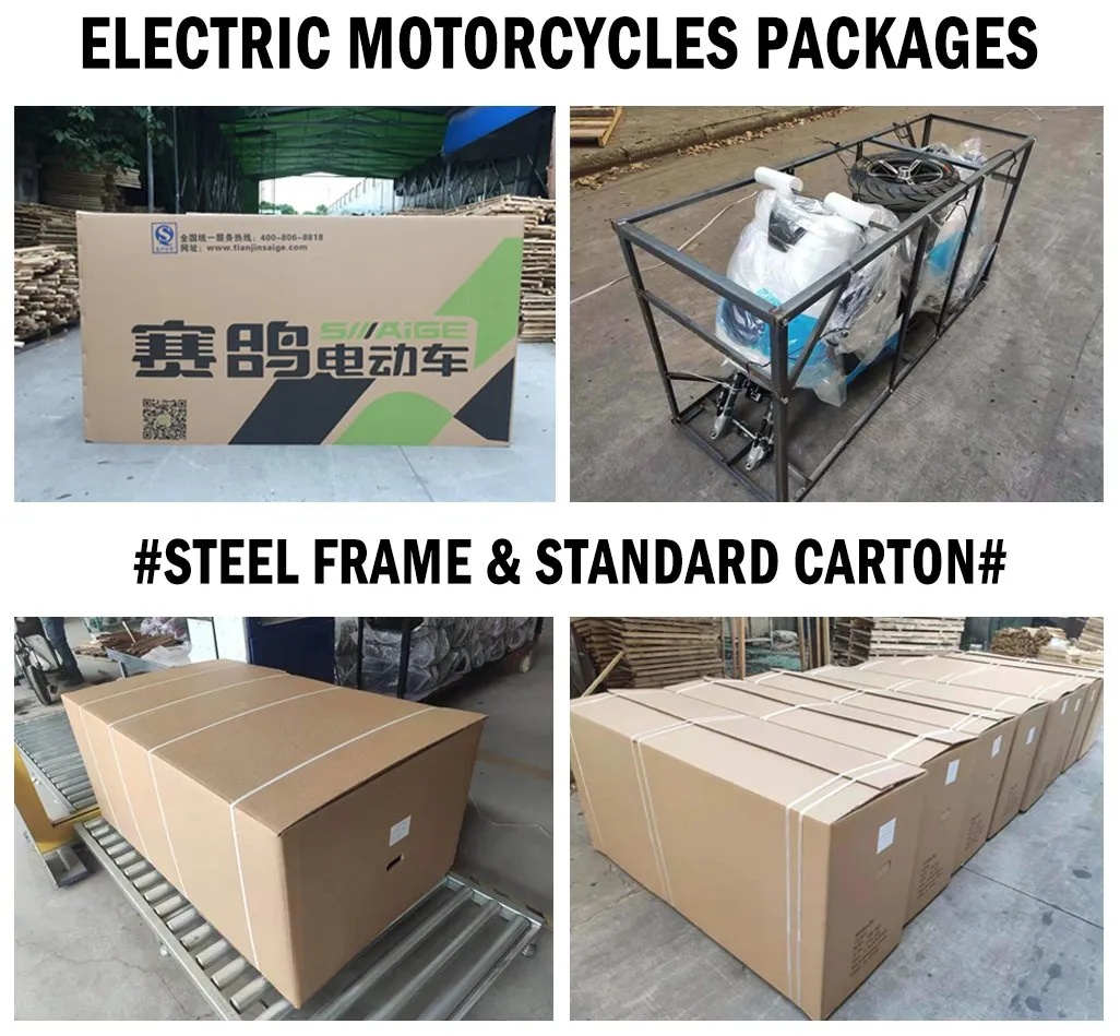 New 2023 EEC Type Cargo Tricycle 60V1000W Closed Body Electric Cargo Tricycle - detail 8
