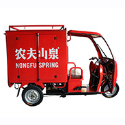 Truck Cargo Tricycle Delivery Electric Tricycle 3 Wheel Adult Tricycle
