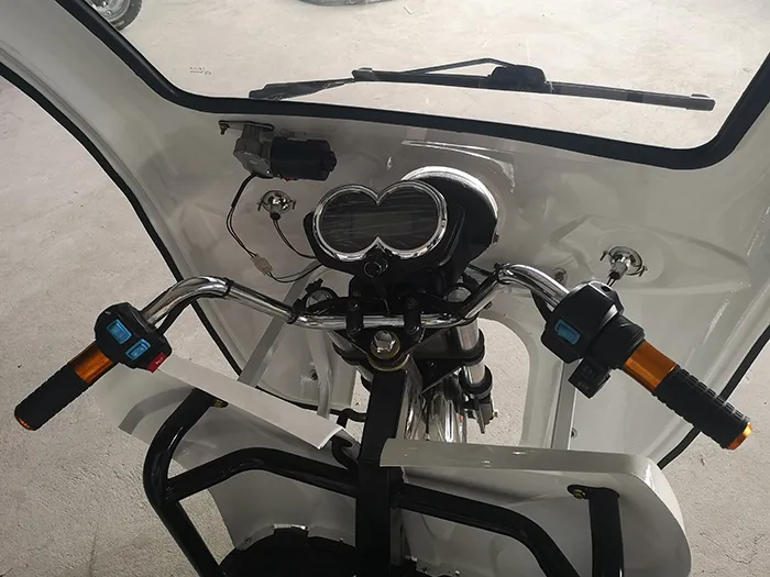 Truck Cargo Tricycle Delivery Electric Tricycle 3 Wheel Adult Tricycle - detail 2
