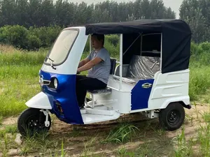 Truck Cargo Tricycle Delivery Electric Tricycle 3 Wheel Adult Tricycle - detail 16