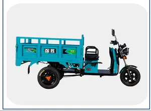 Truck Cargo Tricycle Delivery Electric Tricycle 3 Wheel Adult Tricycle - detail 17