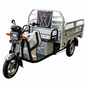 Truck Cargo Tricycle Delivery Electric Tricycle 3 Wheel Adult Tricycle - detail 18