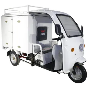 Truck Cargo Tricycle Delivery Electric Tricycle 3 Wheel Adult Tricycle - detail 20