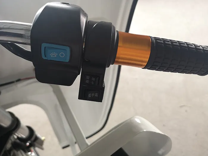 Truck Cargo Tricycle Delivery Electric Tricycle 3 Wheel Adult Tricycle - detail 3
