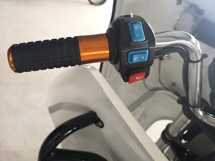 Truck Cargo Tricycle Delivery Electric Tricycle 3 Wheel Adult Tricycle - detail 4