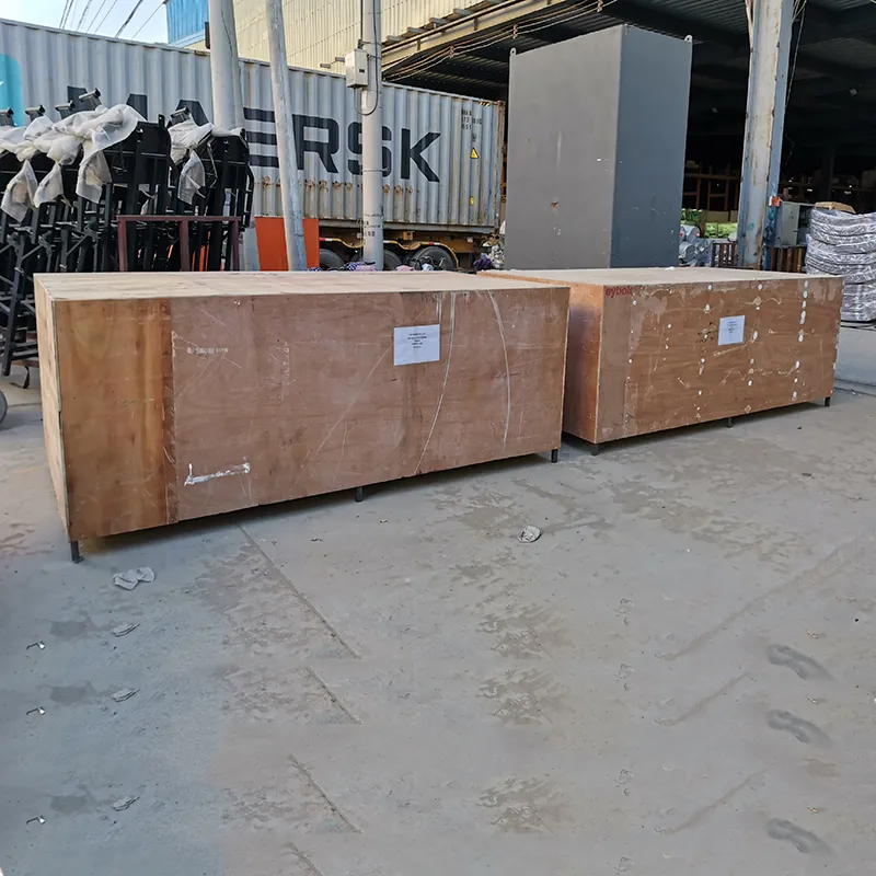 Truck Cargo Tricycle Delivery Electric Tricycle 3 Wheel Adult Tricycle - detail 7