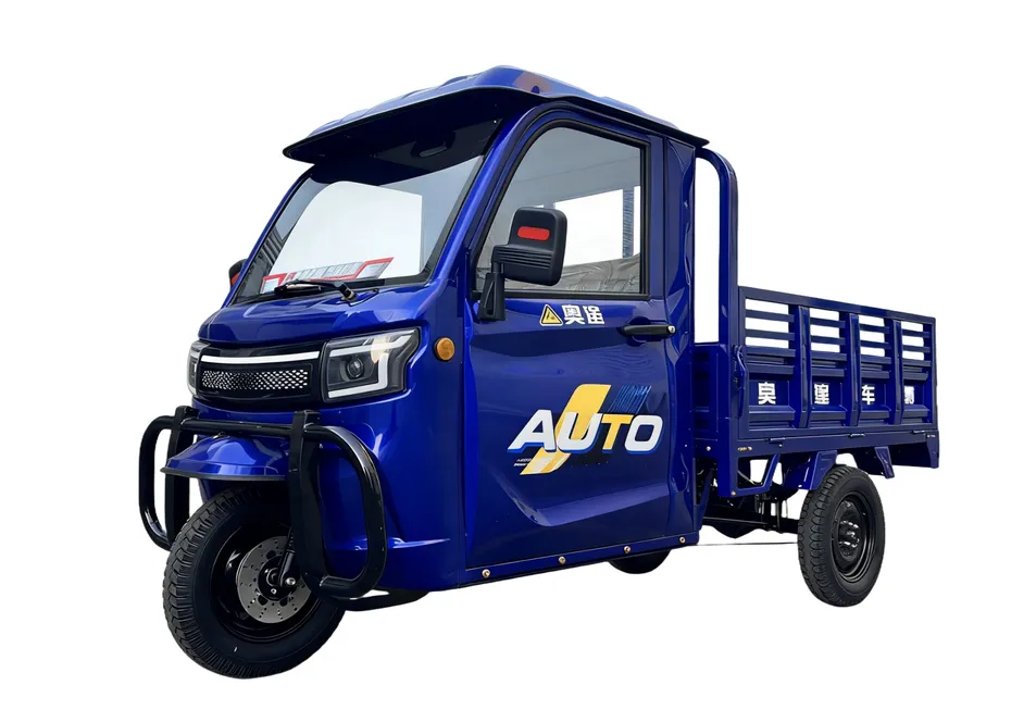 Wholesale Electric Tricycle, 3 Wheel Motorized Motorcycle, Adult Cargo Tricycle, Electric Transport Tricycle for Goods Delivery - detail 2