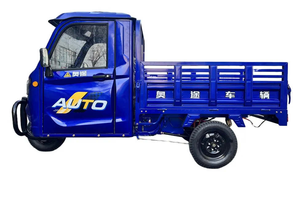 Wholesale Electric Tricycle, 3 Wheel Motorized Motorcycle, Adult Cargo Tricycle, Electric Transport Tricycle for Goods Delivery - detail 5