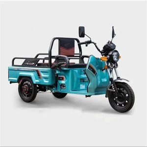 Wholesale Customizable Cargobike Open Body Low Price 3-Wheel Electric Motorcycle Tricycle for Cargo/Passenger Transport